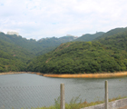 薄扶林水塘, Pok Fu Lam Reservoir